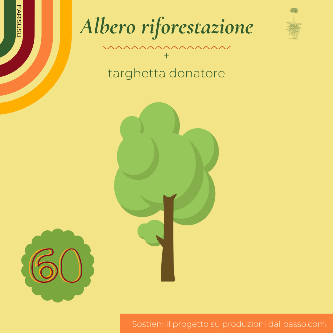 riforestazione