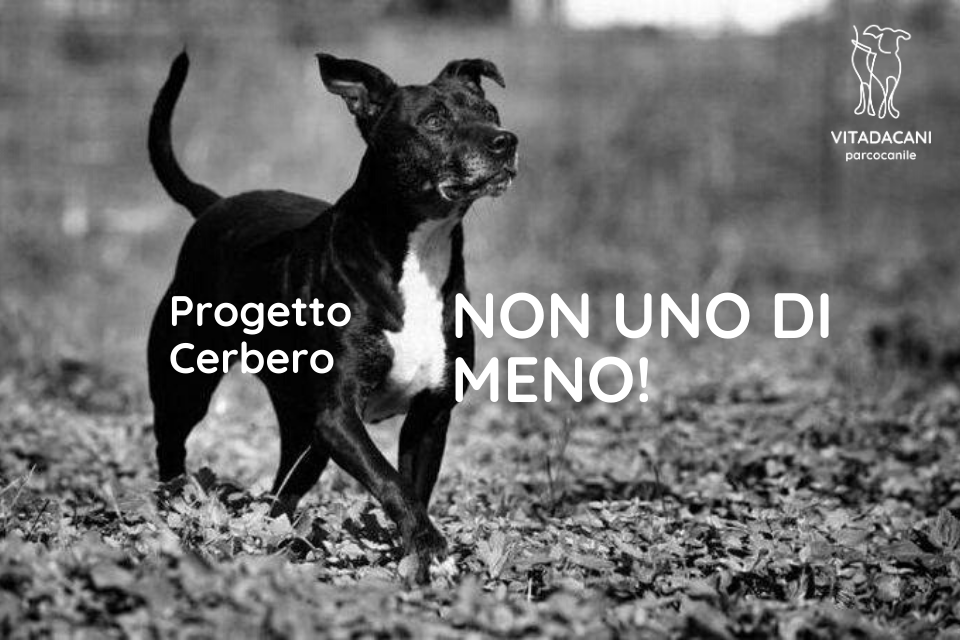 Progetto Cerbero, non uno di meno.