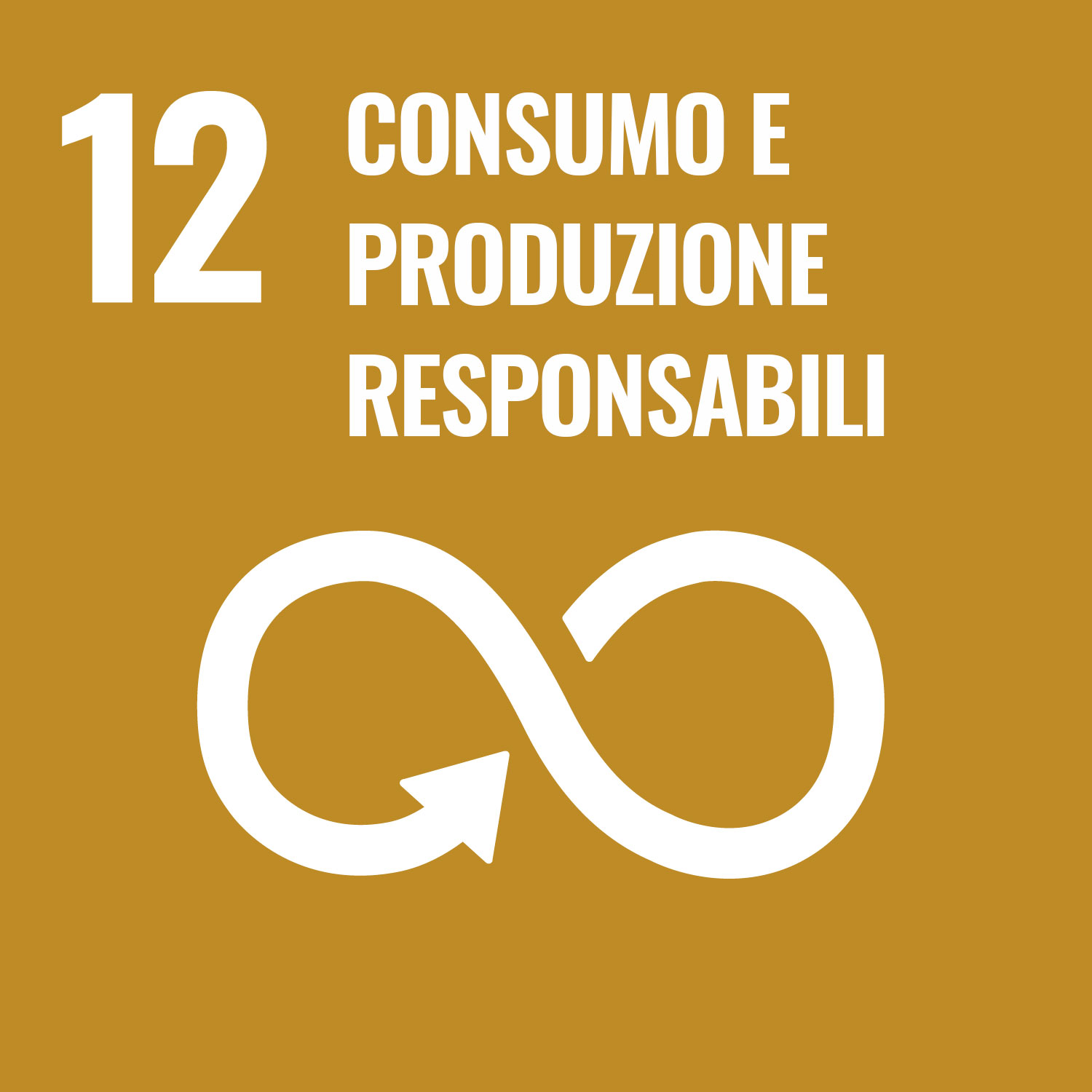 12. Consumo e produzione responsabili