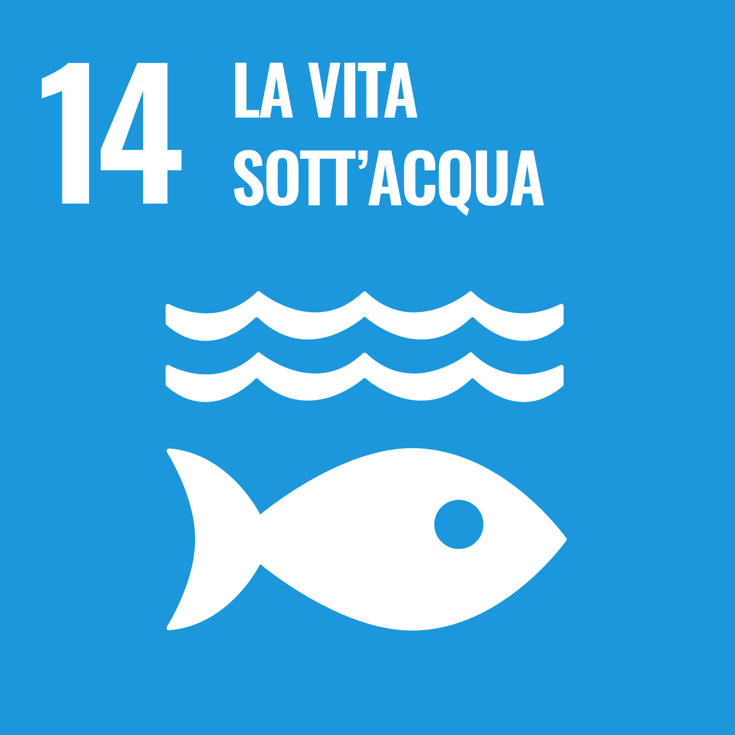 14. Vita sott'acqua