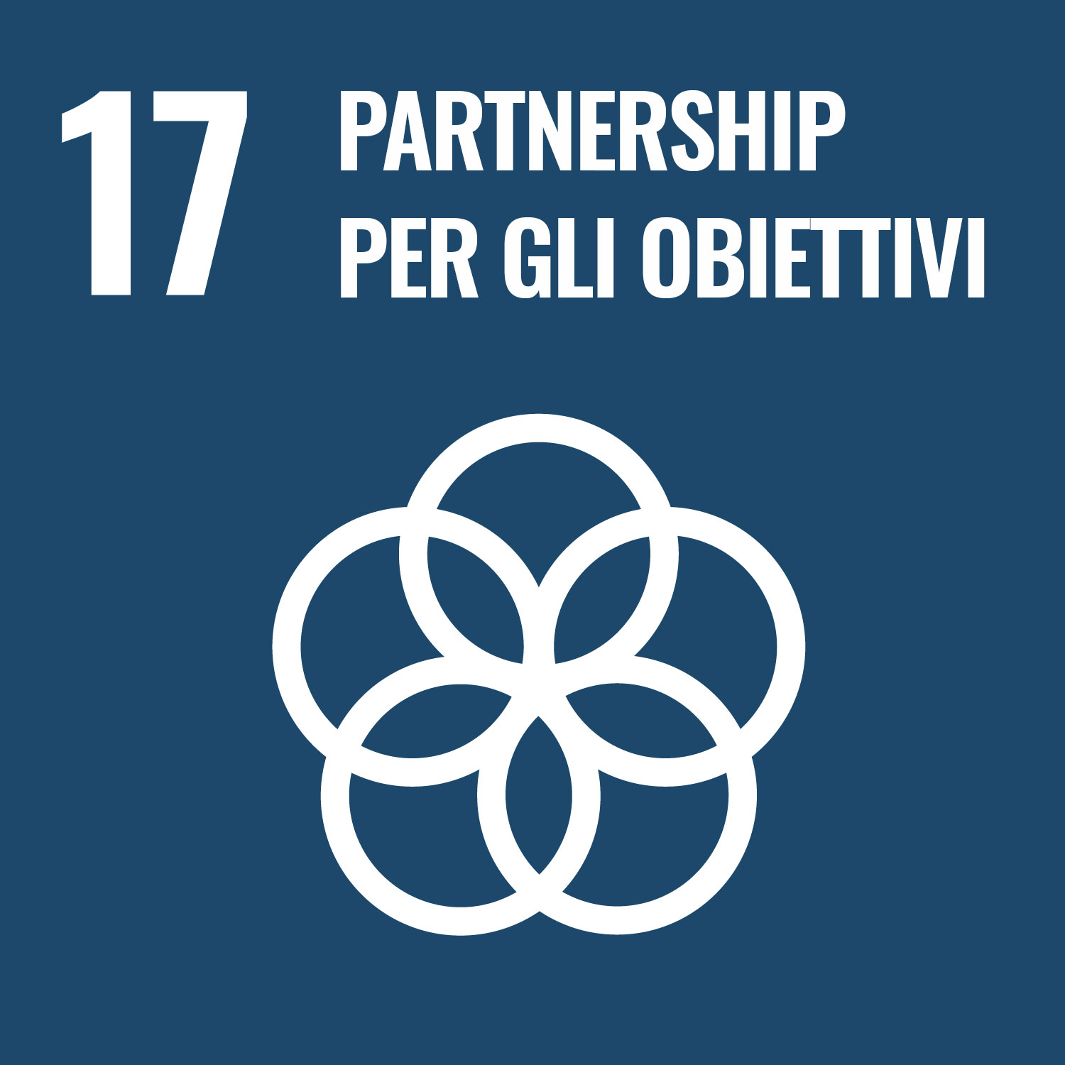 17. Partnership per gli obiettivi